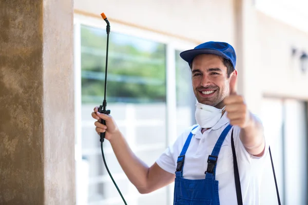 Kerrville Wasp Removal