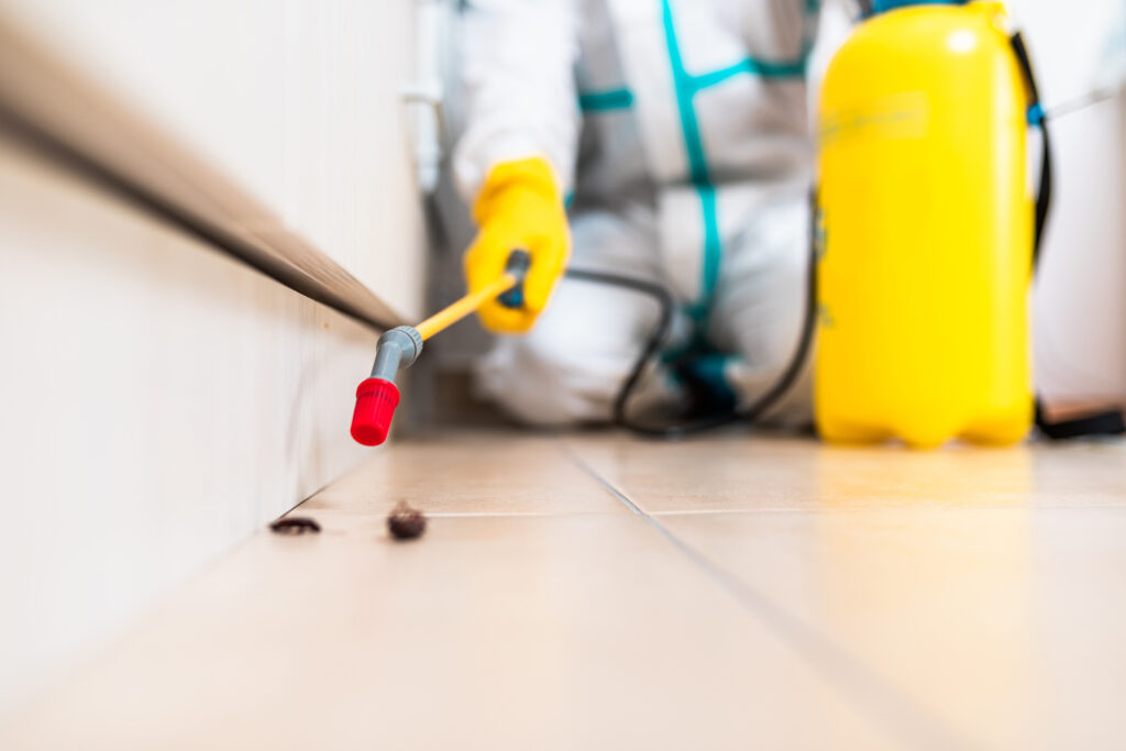 Kerrville Cockroach Experts