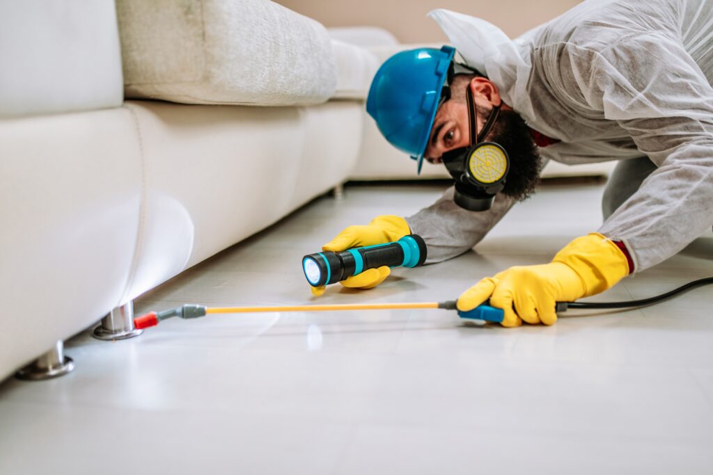 Kerrville Termite Control