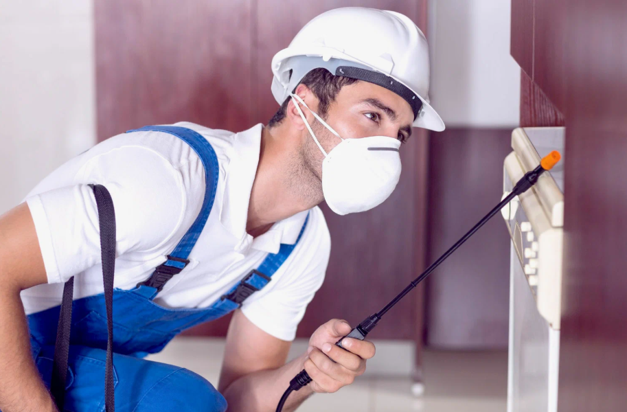 Kerrville local pest services