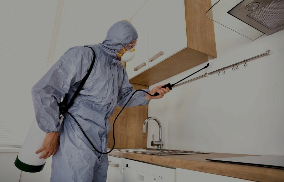 Kerrville pest managment