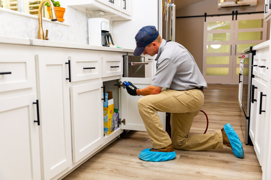 Kerrville xpert pest management